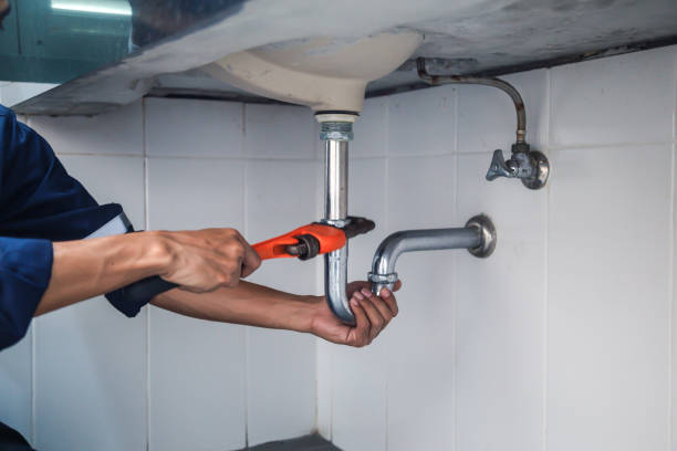 Best Plumbing Services Near Me  in South Williamsport, PA